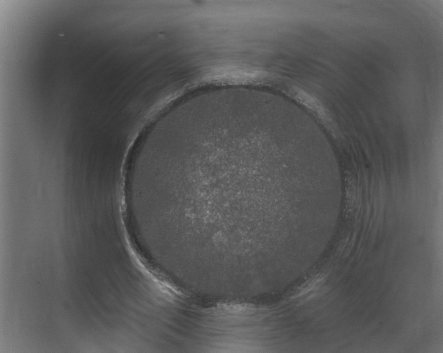 X0000071330582200606261249