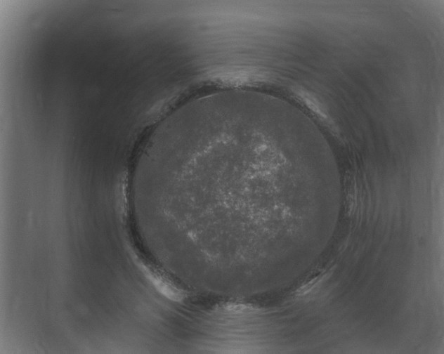 X0000071330590200606261249