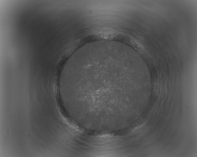 X0000071330594200606261249