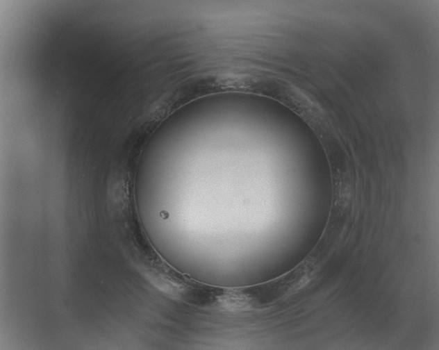 X0000071330603200606261248