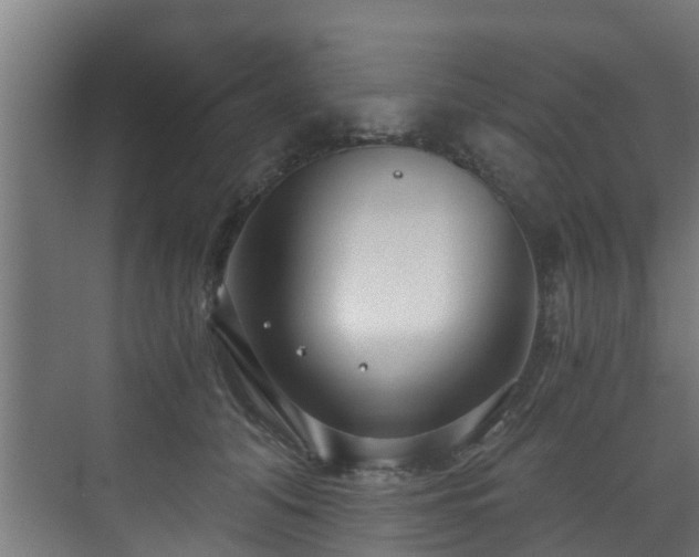 X0000071330608200606261248