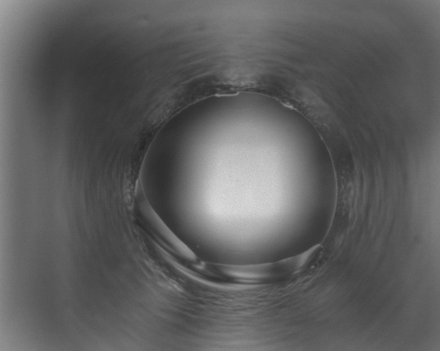 X0000071330609200606261248