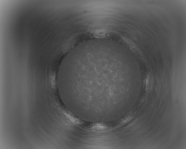 X0000071330610200606261248