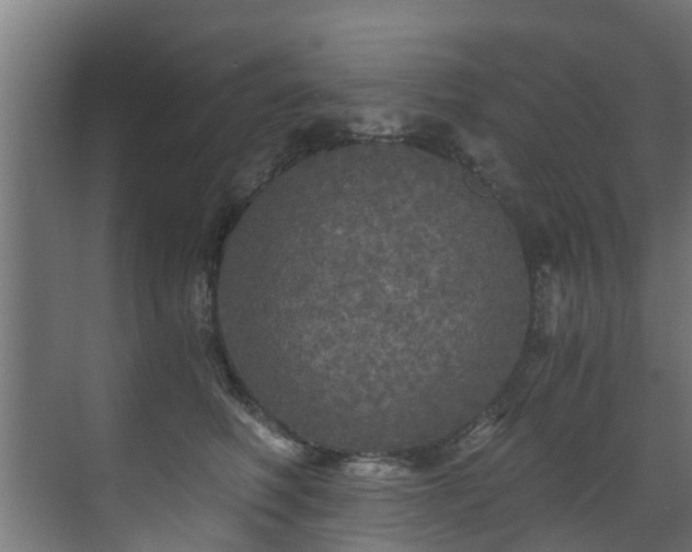 X0000071330614200606261248