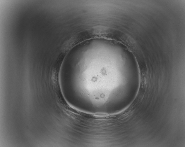 X0000071330623200606261248