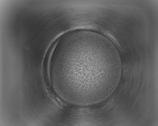 X0000071330628200606261247