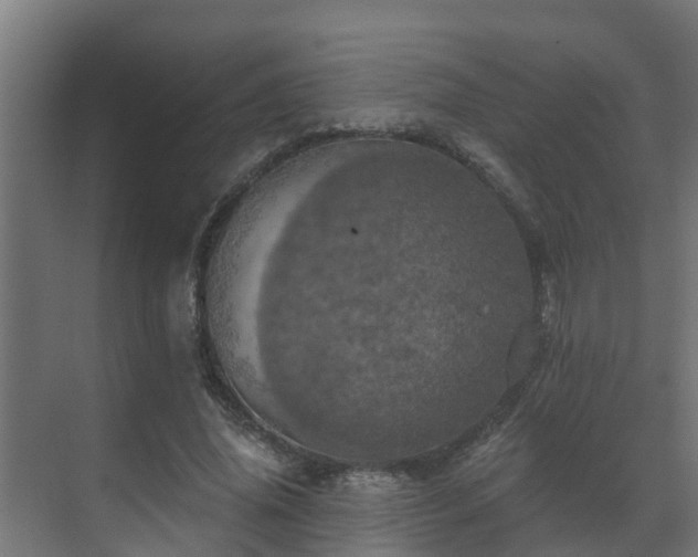 X0000071330636200606261247