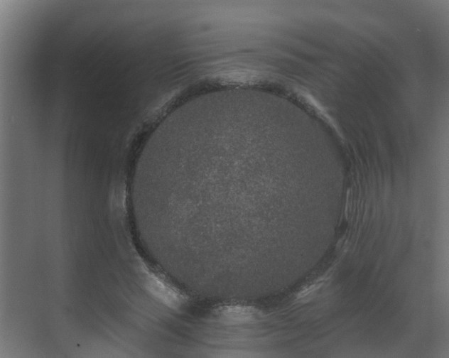 X0000071330637200606261247