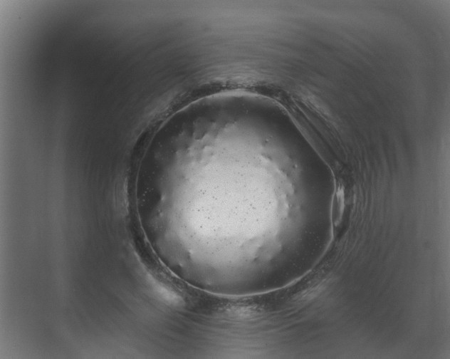 X0000071330638200606261247