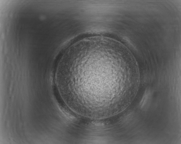 X0000071330640200606261248