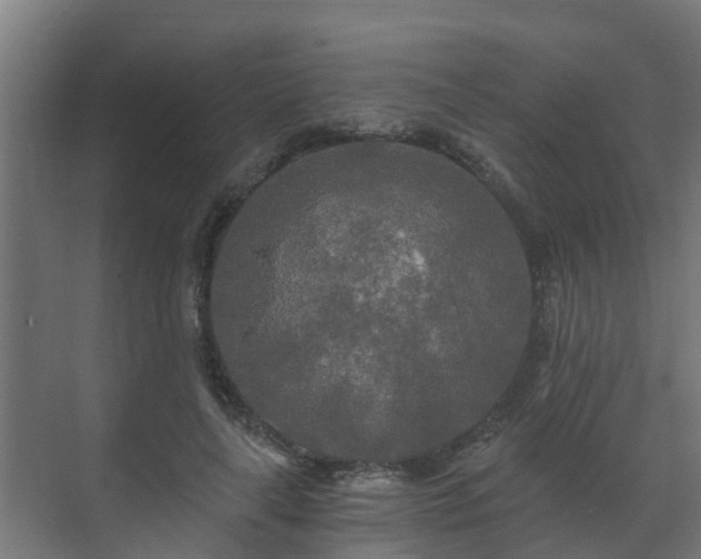 X0000071330643200606261248