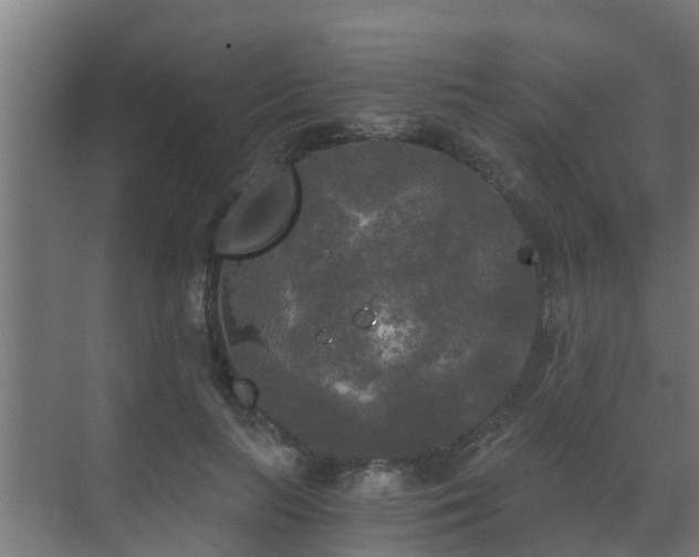 X0000071330647200606261248