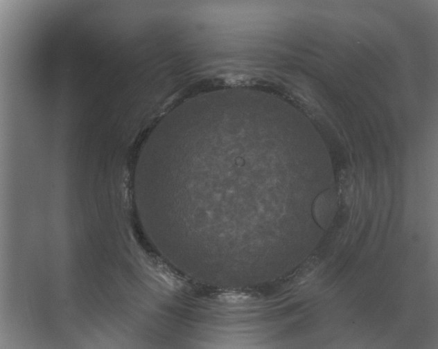 X0000071330650200606261248