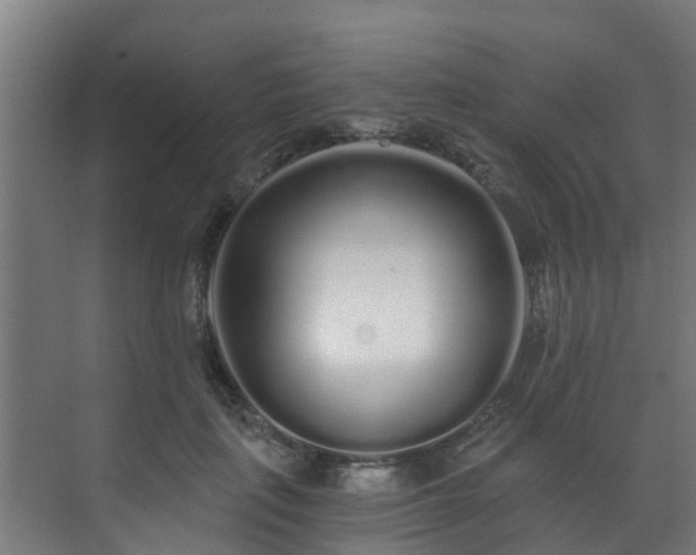 X0000071330651200606261248