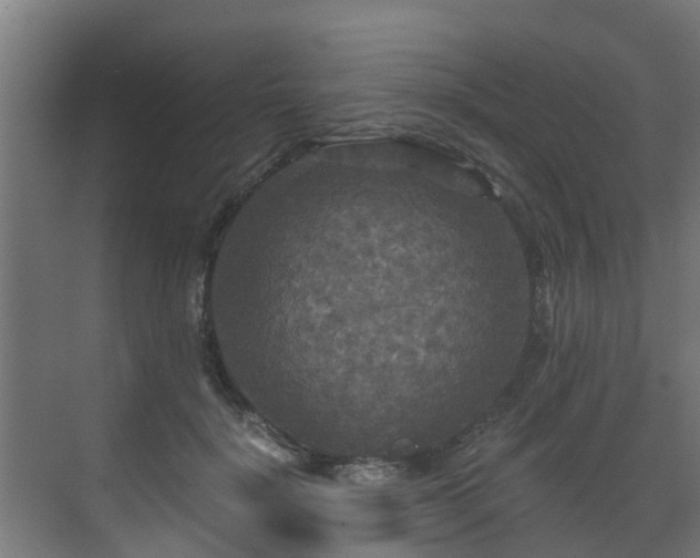 X0000071330652200606261248