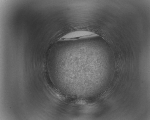 X0000071330656200606261248