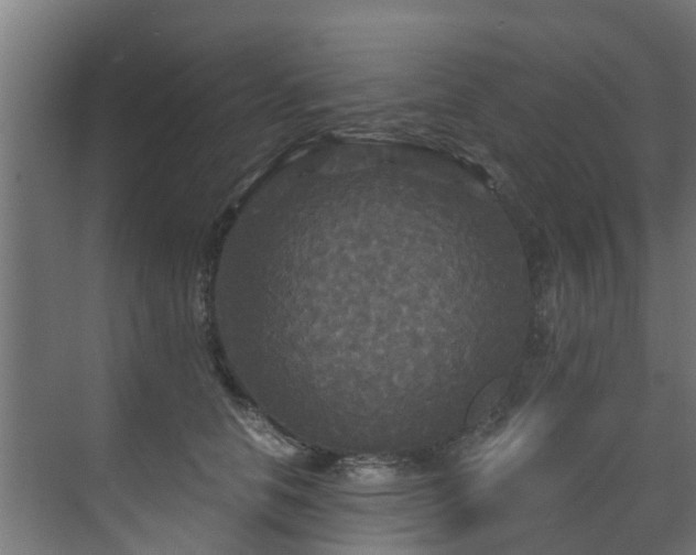 X0000071330658200606261248