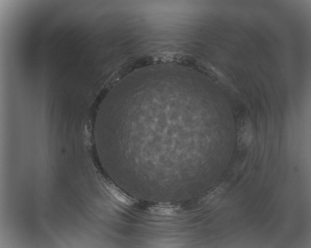 X0000071330661200606261248