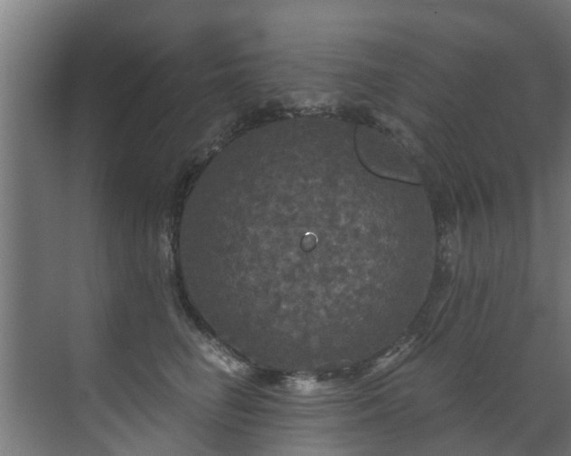 X0000071330662200606261248