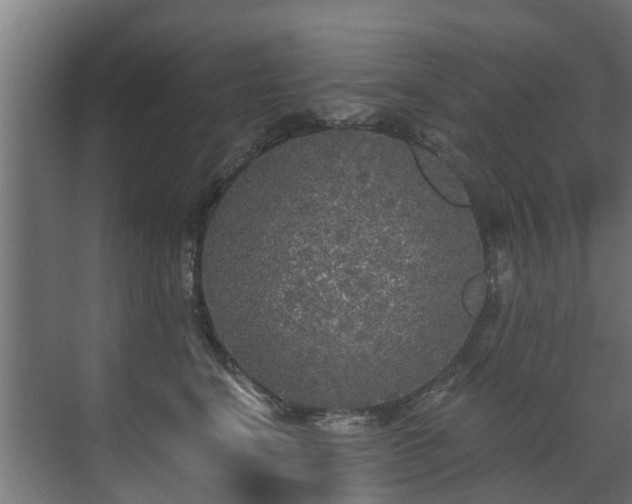 X0000071330664200606261248