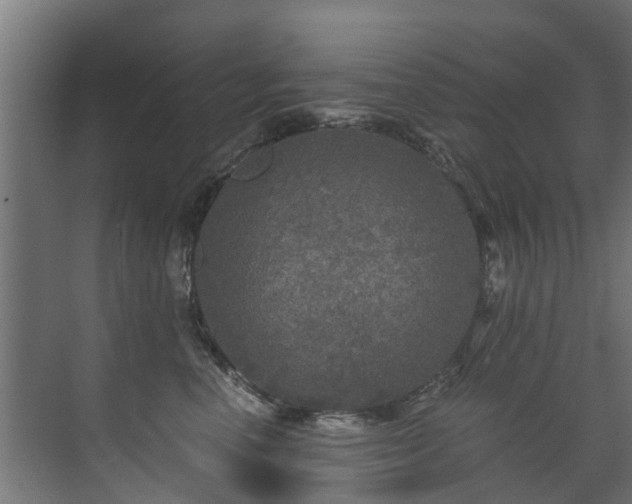 X0000071330666200606261248