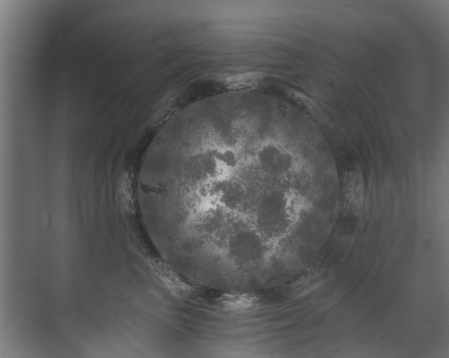 X0000071330667200606261248