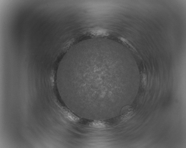 X0000071330668200606261248