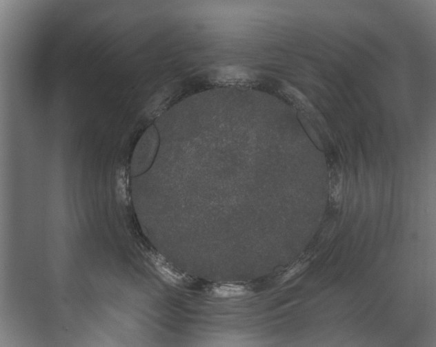 X0000071330669200606261248