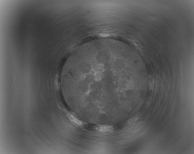 X0000071330670200606261248