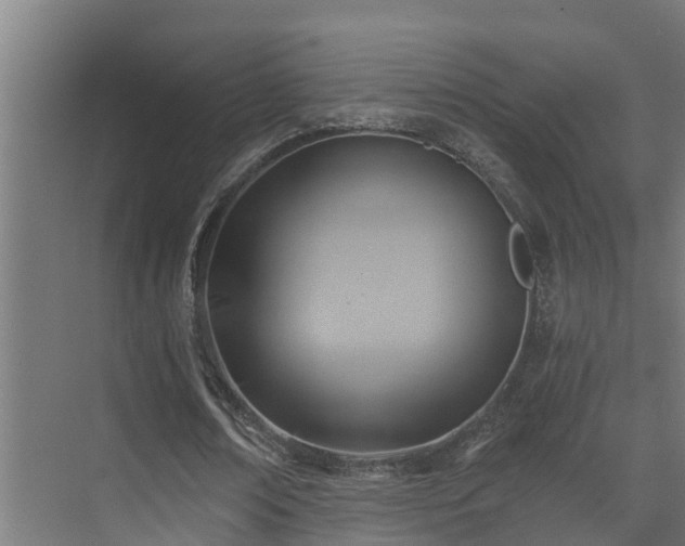 X0000071330674200606261247