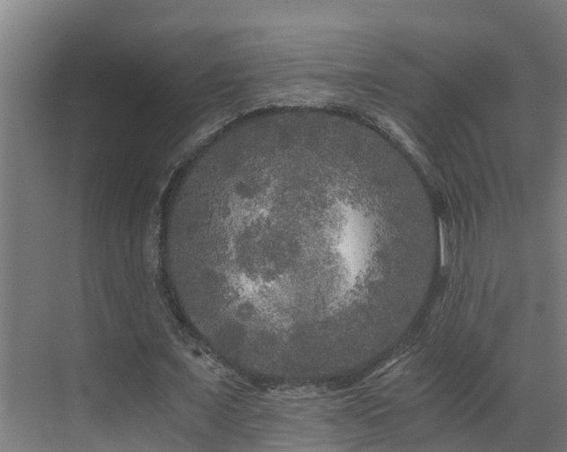 X0000071330675200606261247