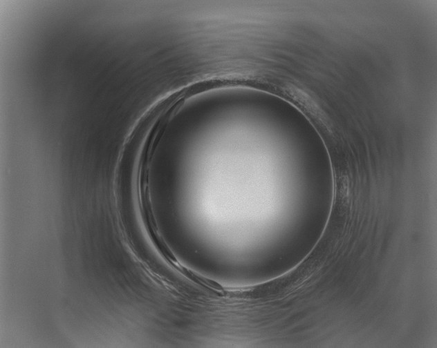 X0000071330676200606261247