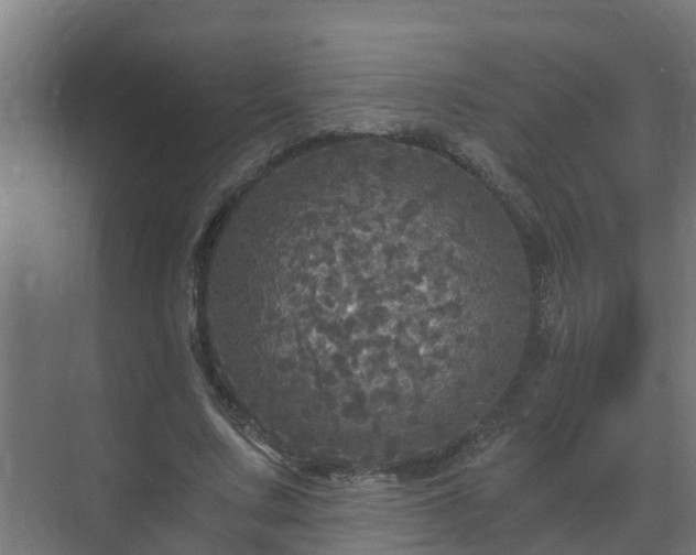 X0000071330683200606261247