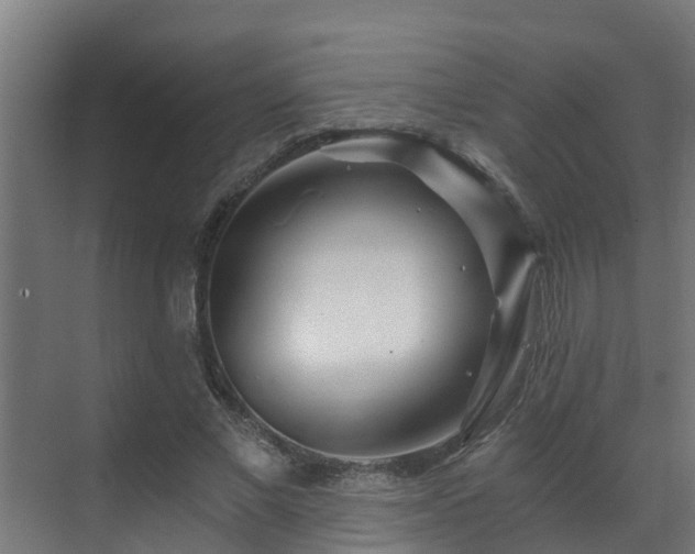 X0000071330685200606261247