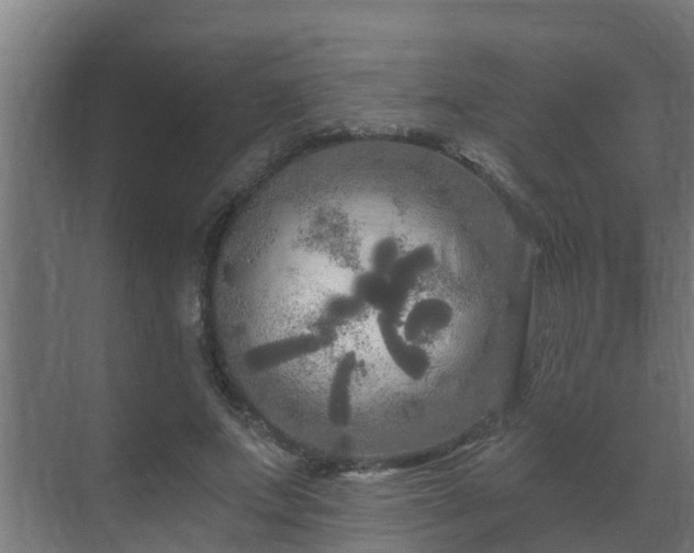 X0000071330687200606261247