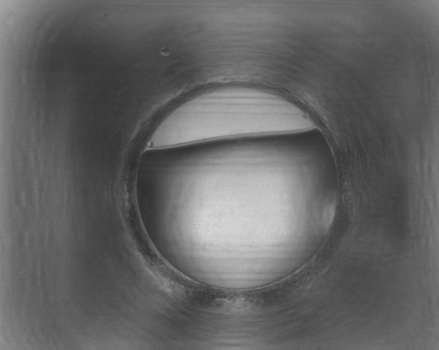 X0000071330688200606261247