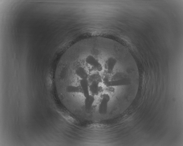 X0000071330691200606261247