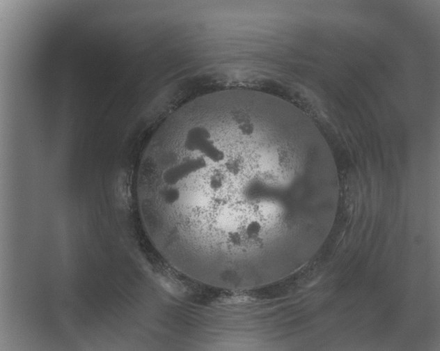 X0000071330695200606261247