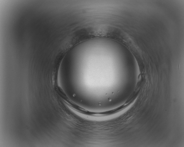 X0000071330697200606261247