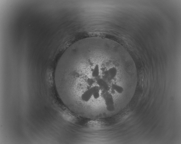 X0000071330699200606261247