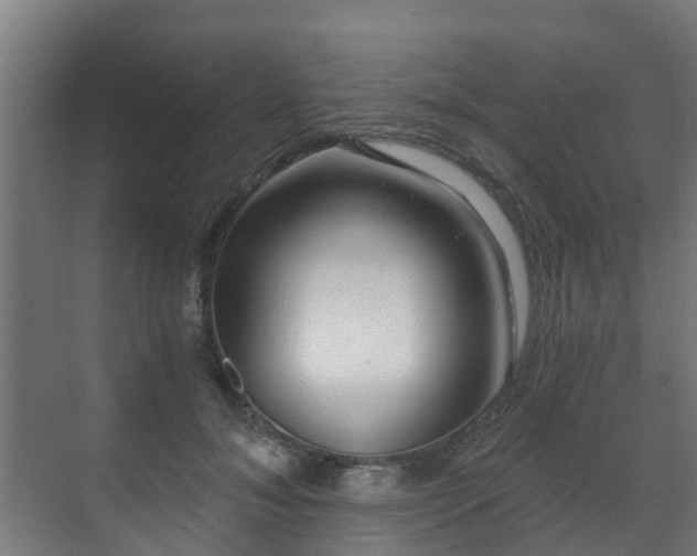 X0000071330700200606261247