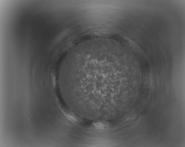 X0000071330703200606261247