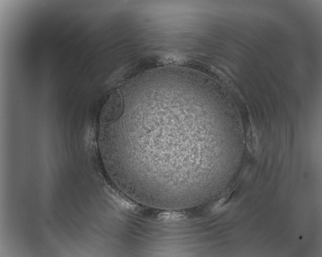 X0000071330714200606261247