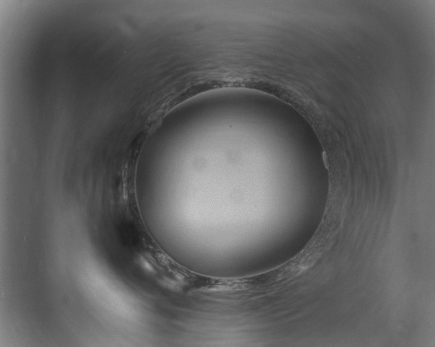 X0000071330720200606261246