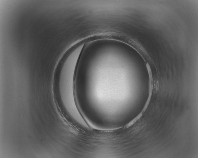 X0000071330724200606261246