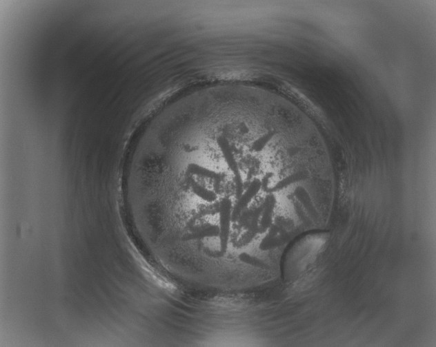 X0000071330725200606261246