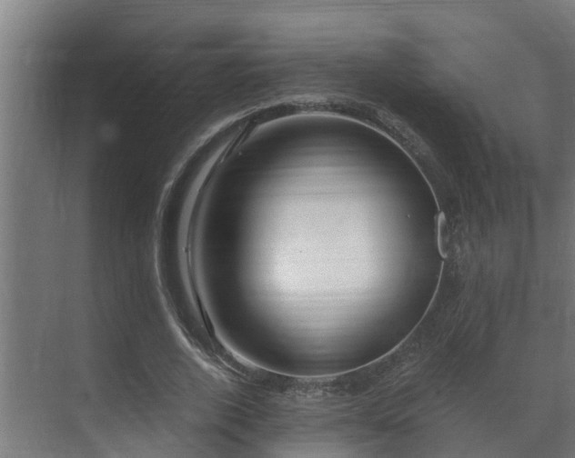 X0000071330728200606261246