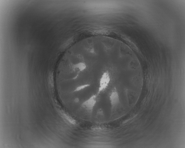 X0000071330729200606261246