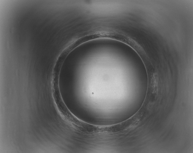 X0000071330730200606261246