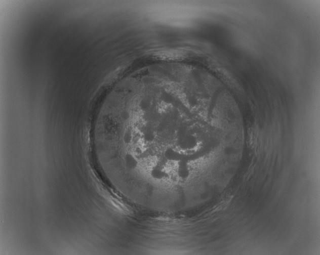 X0000071330733200606261246